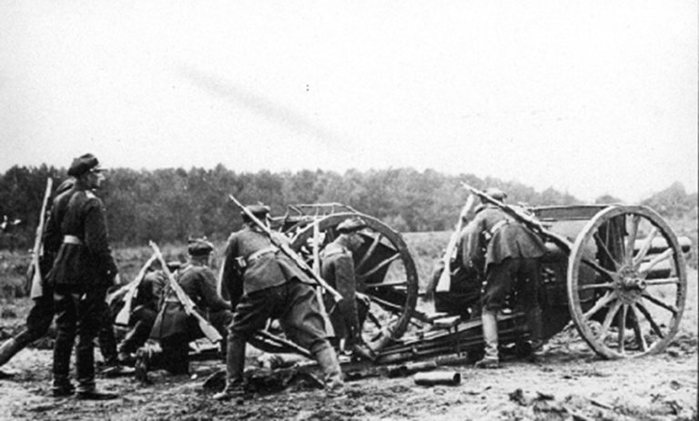 Polish Infantry Guns