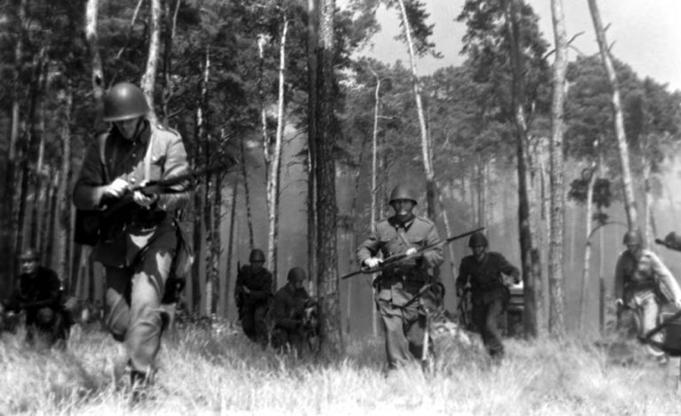 Polish Scouts